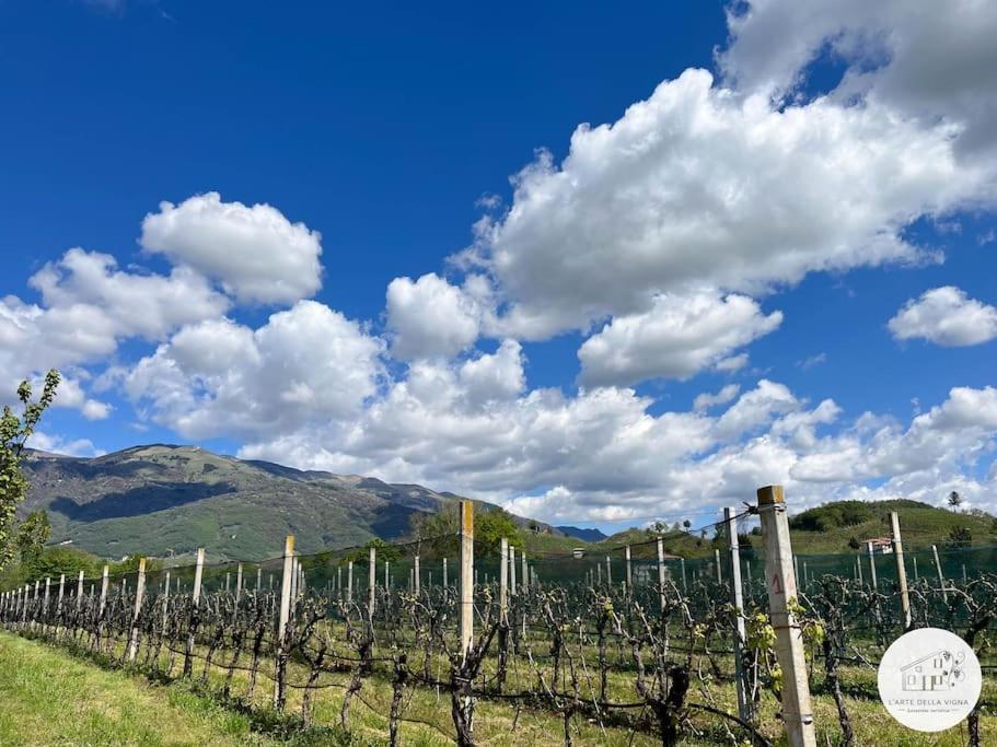 BigolinoCasa L'Arte Della Vigna别墅 外观 照片